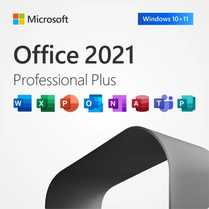 Microsoft Office 2021 Pro Plus license key