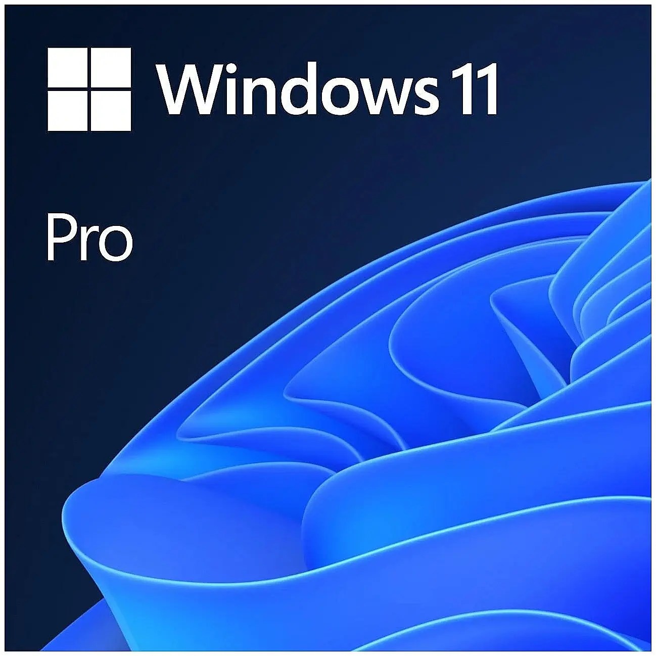 Windows 11 Pro license key